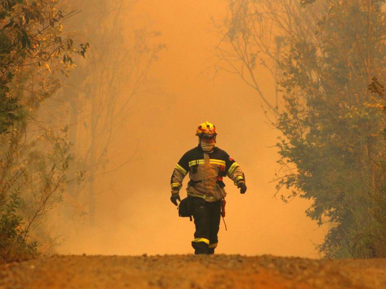 Onemi declara Alerta Roja para la comuna de Curacaví por incendio forestal