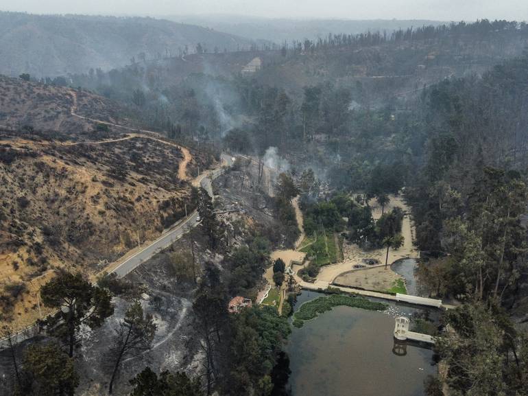 Totalmente destruido: las devastadoras imágenes que deja el incendio  forestal en el Jardín Botánico de Viña del Mar | ADN Radio