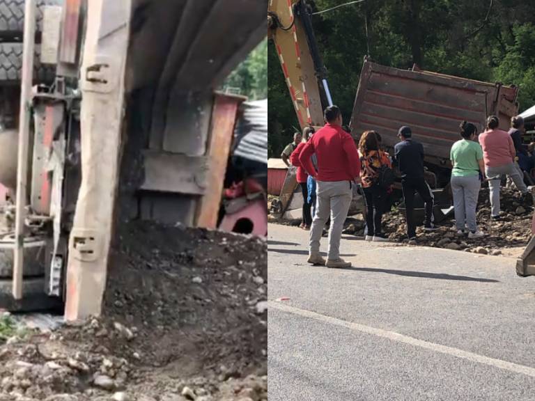 Fatal accidente de tránsito destruye refugio de perritos en Talca: conductor de camión perdió el control