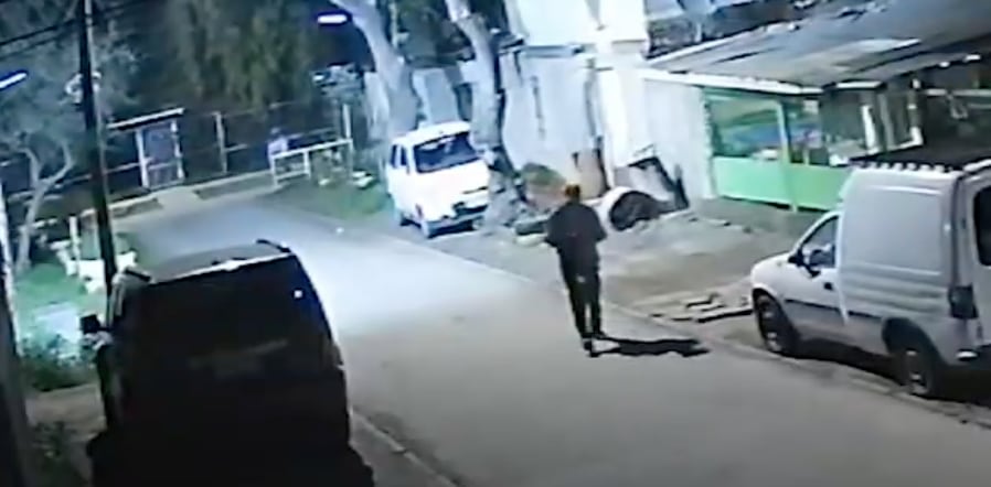 Caso de maltrato animal en Lo Prado: adulto mayor golpeó a un perro y lo dejó en estado grave