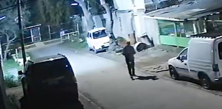 Caso de maltrato animal en Lo Prado: adulto mayor golpeó a un perro y lo dejó en estado grave