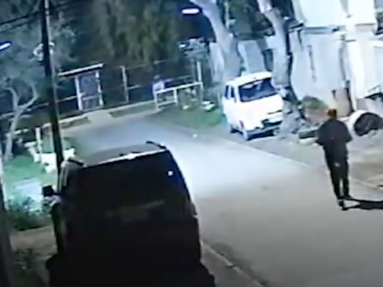 Caso de maltrato animal en Lo Prado: adulto mayor golpeó a un perro y lo dejó en estado grave