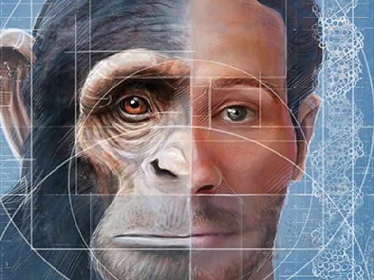 Científicos revelan cómo será el rostro del ser humano en 100 mil años