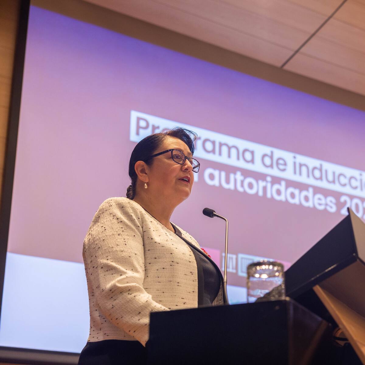 Contraloría contrata por trato directo blindaje de automóvil institucional para Dorothy Pérez