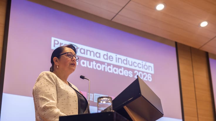 Contraloría contrata por trato directo blindaje de automóvil institucional para Dorothy Pérez