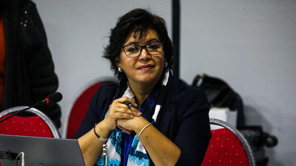 Yasna Provoste - educación