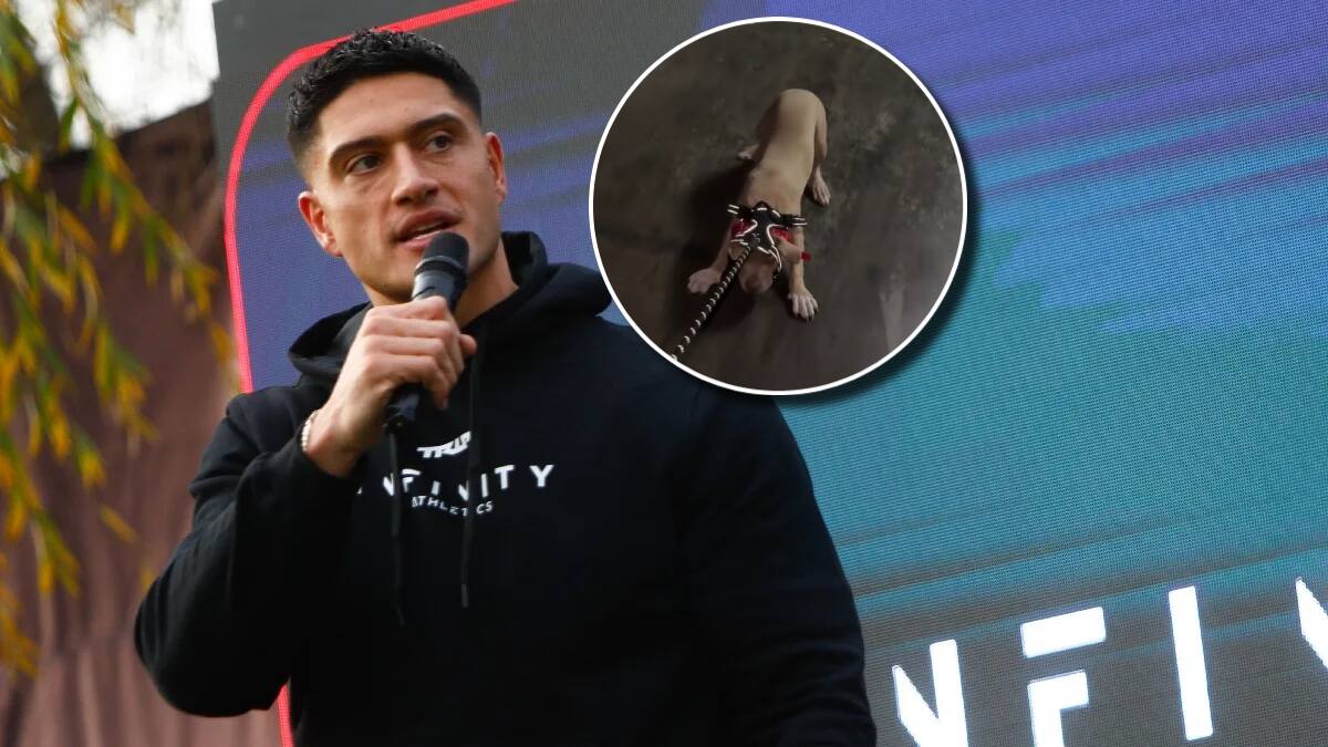 Redes sociales estallan contra Sammis Reyes tras polémico registro junto a su mascota