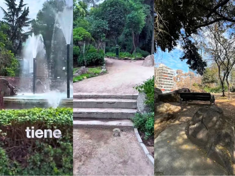 “Un bosque secreto en medio de la ciudad”: esta es la plaza de Santiago que esconde un tesoro en su interior