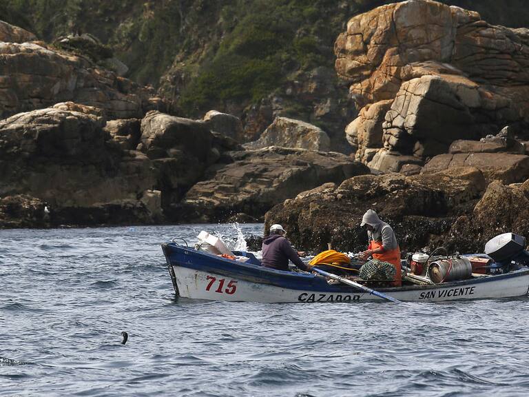 Agencia Uno | Imagen referencial