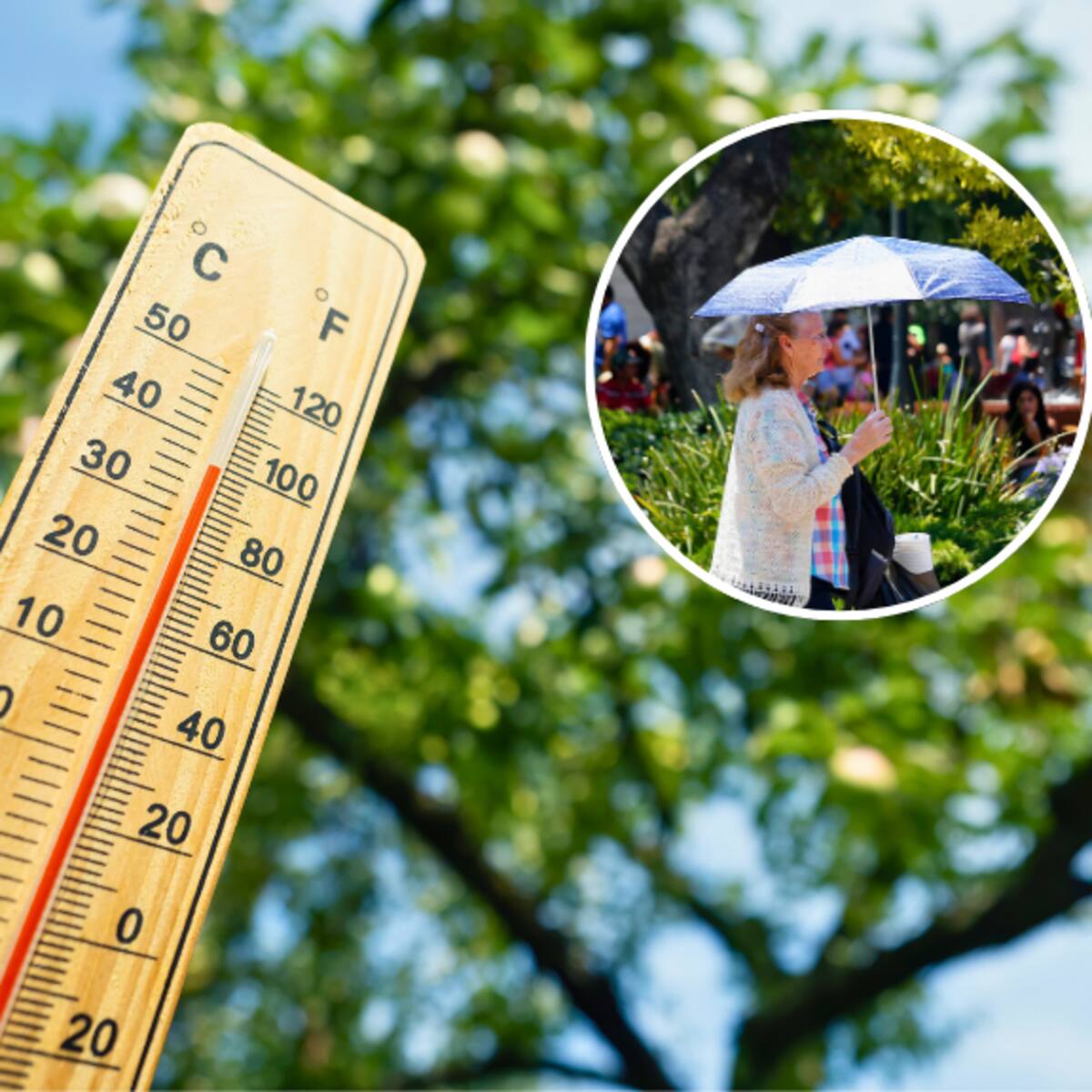 Hasta 34ºC: emiten advertencia por altas temperaturas en seis regiones de Chile