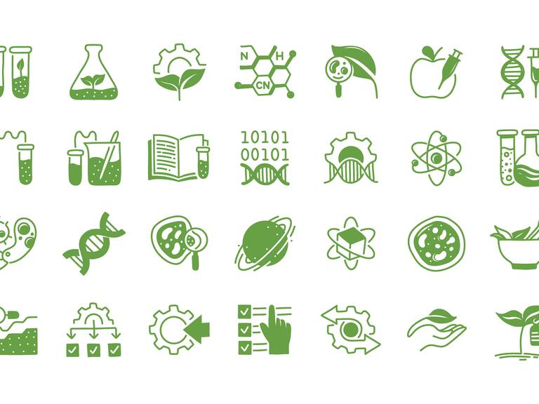 Recuento Tu Nuevo ADN 2024