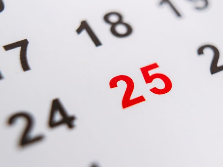 Diputado RN presenta proyectos para que se declare feriado irrenunciable el 26 de diciembre