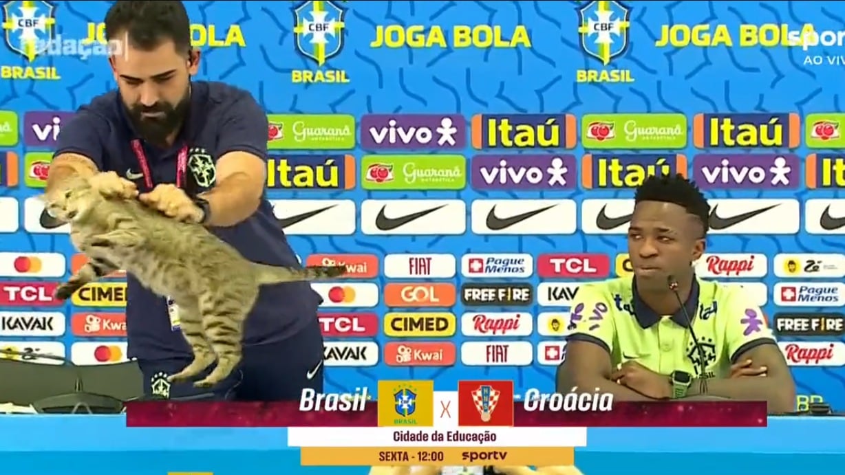 Demandan a Brasil por maltrato animal contra el gato de la conferencia