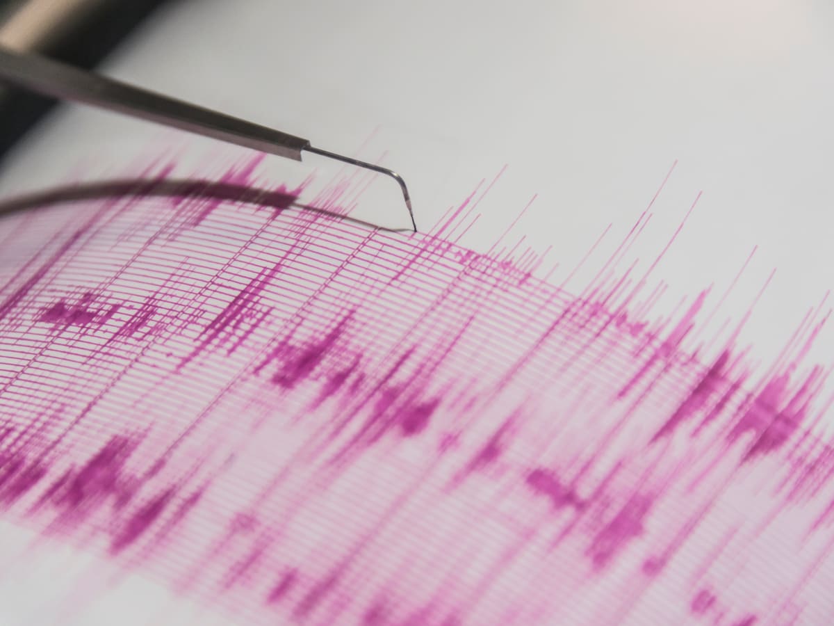 SHOA descarta riesgo de tsunami en las costas de Chile tras temblor en territorio Antártico