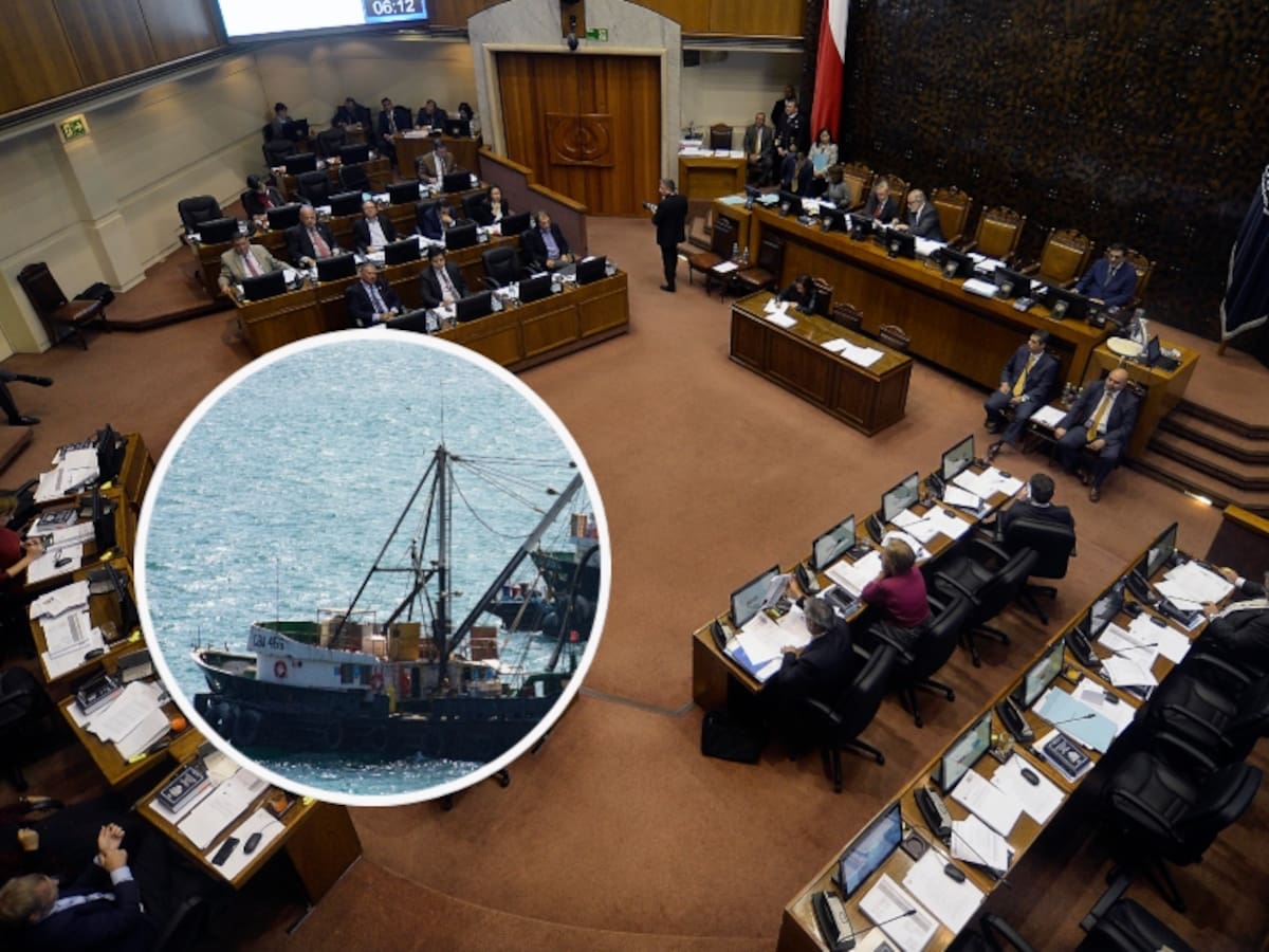 “No descartamos ninguna acción”: la advertencia de pescadores artesanales tras retiro de nueva Ley de Pesca