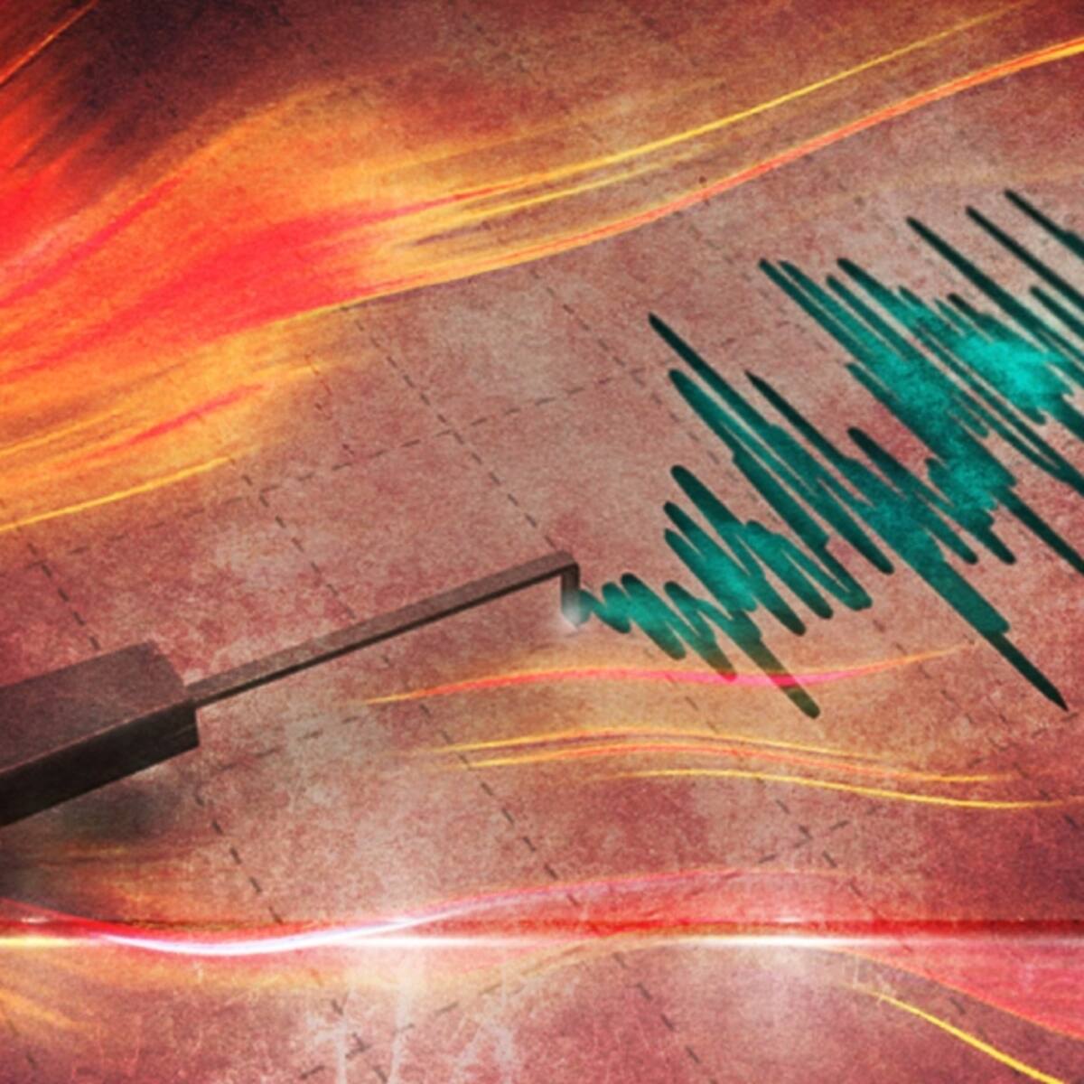 SHOA descarta riesgo de tsunami en costas de Chile tras temblor 7,5 registrado en Tonga