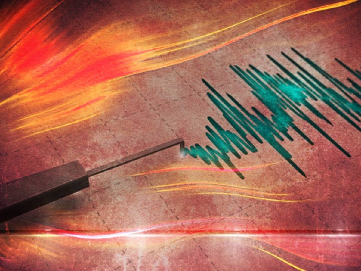 SHOA descarta riesgo de tsunami en costas de Chile tras temblor 7,5 registrado en Tonga
