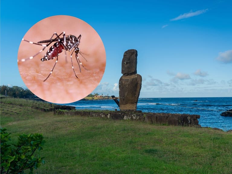 Confirman primer caso de dengue autóctono en Rapa Nui: estos son los síntomas y así puedes prevenir contagios