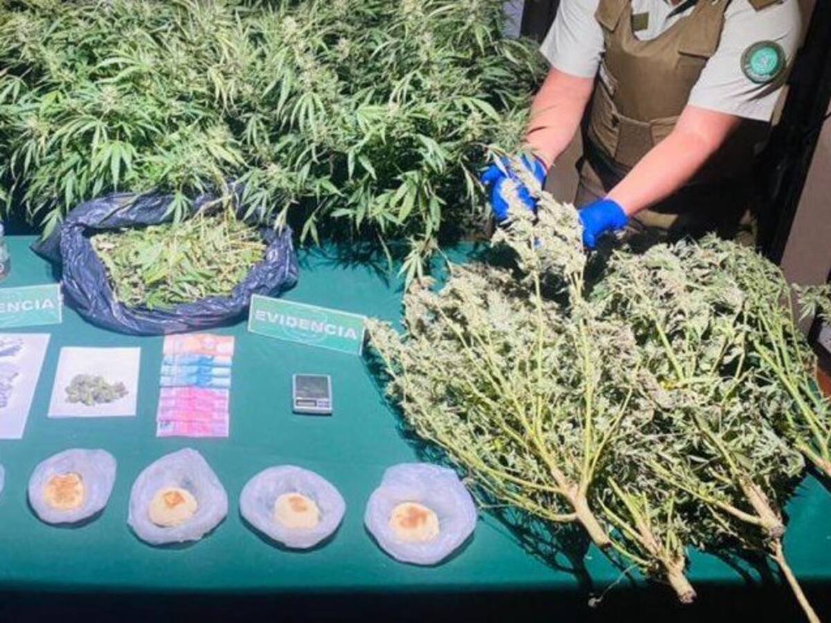 Carabineros detuvo a sujeto que vendía pan amasado con marihuana en Temuco