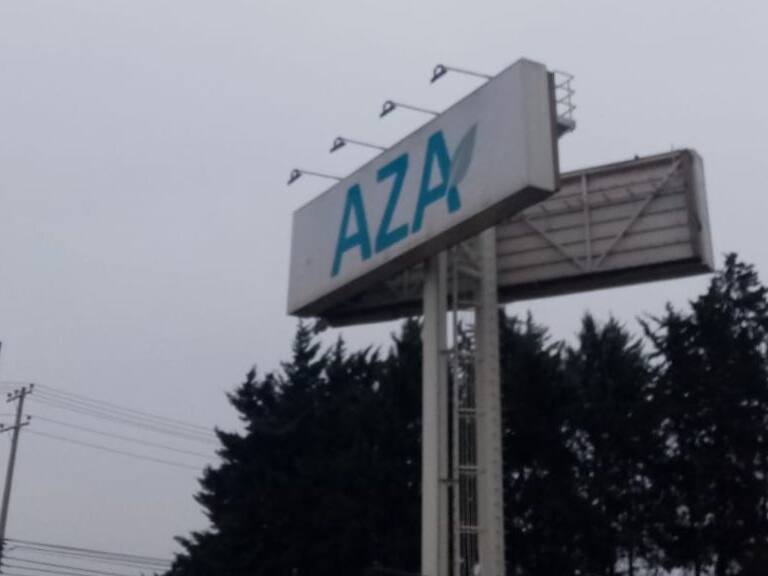 Colina: encuentran dos torpedos de guerra en predio de metalurgia