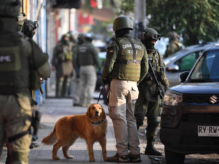 Desbaratan banda dedicada al narcotráfico en la RM: incautaron más de una tonelada de droga, mayormente marihuana