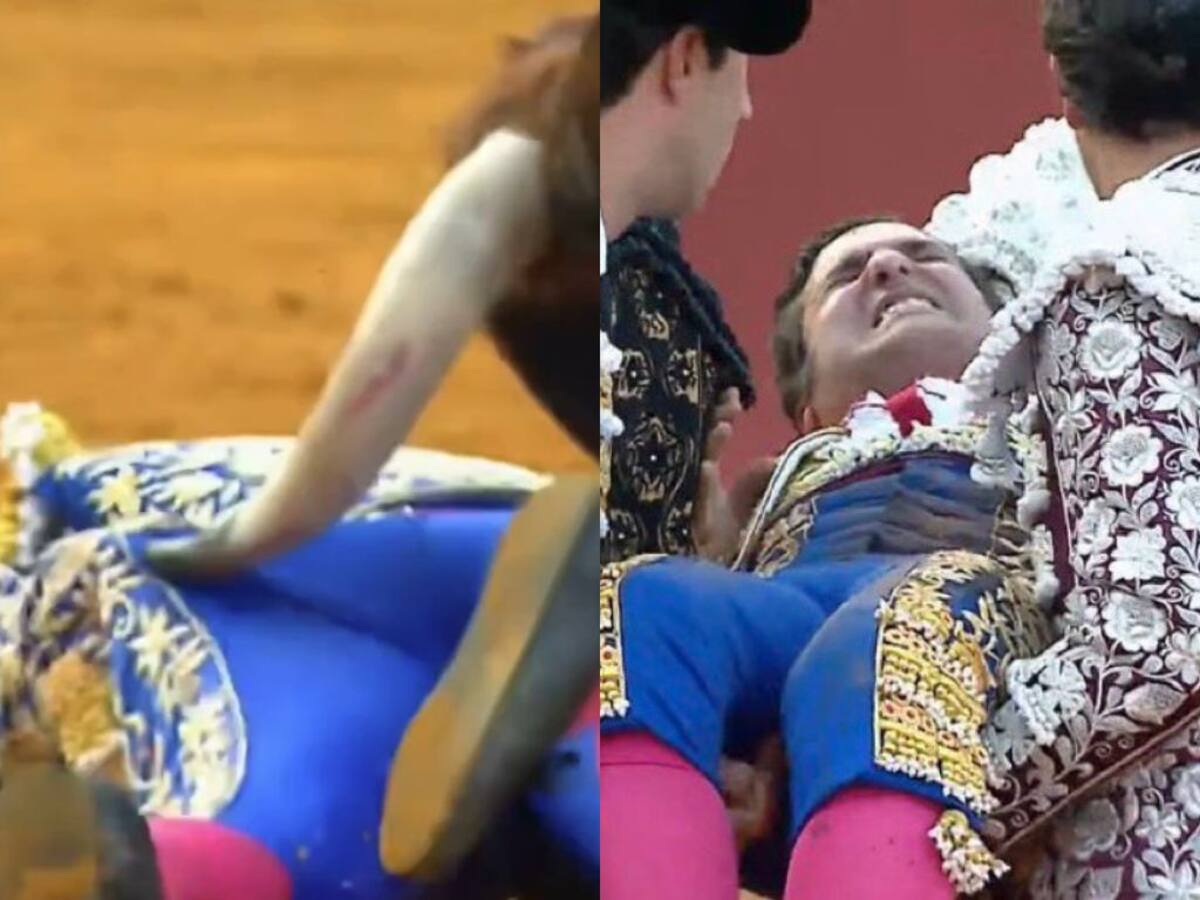 Impactante corneada en Sevilla: famoso torero queda “muy grave” tras brutal ataque de toro que le perforó el recto