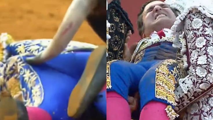Impactante corneada en Sevilla: famoso torero queda “muy grave” tras brutal ataque de toro que le perforó el recto