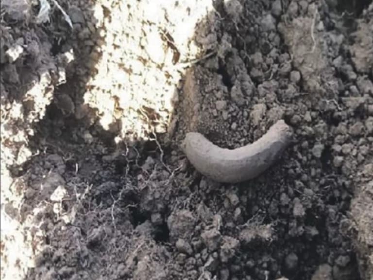 Hallan fragmentos de cerámica del año 1100-1500 en construcción de hospital en La Unión