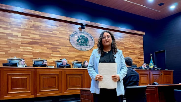 Organizaciones ambientales cuestionan megarreforma de Kast ante el TC: advierten posibles retrocesos