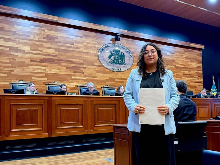 Organizaciones ambientales cuestionan megarreforma de Kast ante el TC: advierten posibles retrocesos