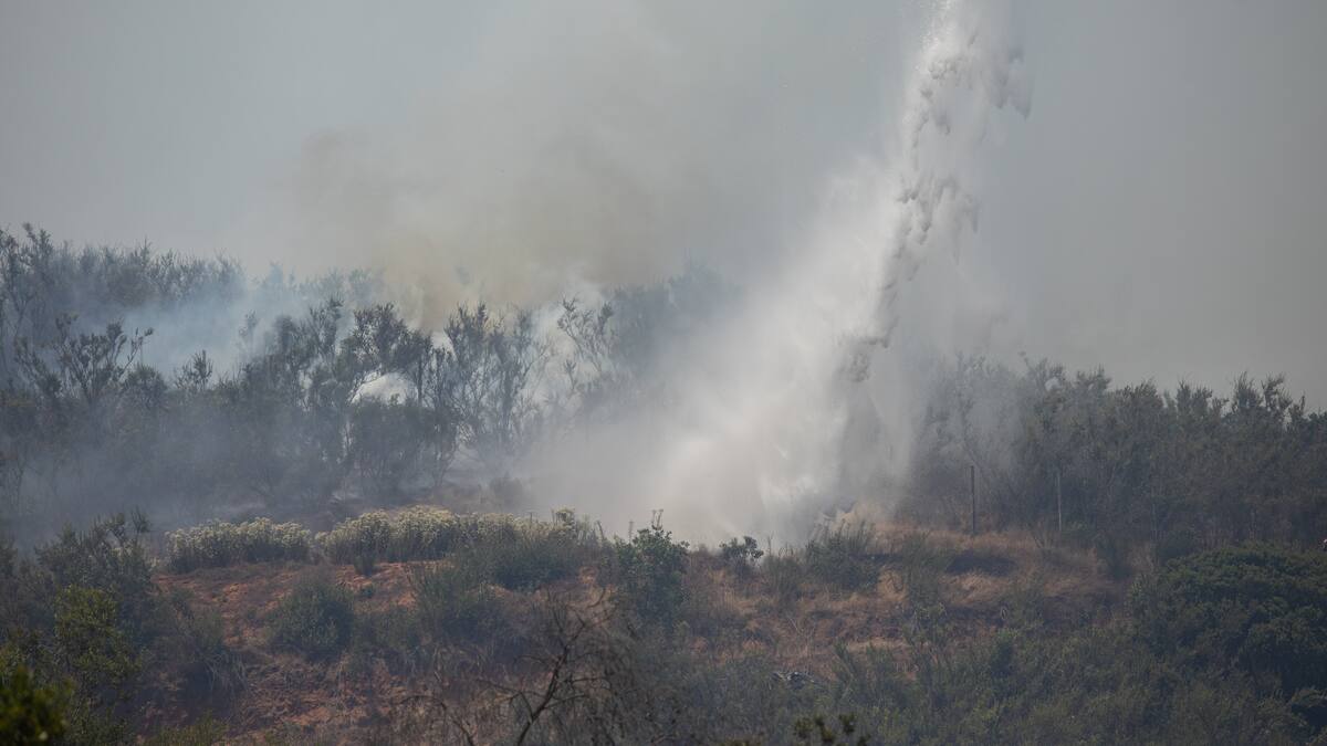 Incendios forestales: ¿Cómo se está preparando CONAF para combatirlos?