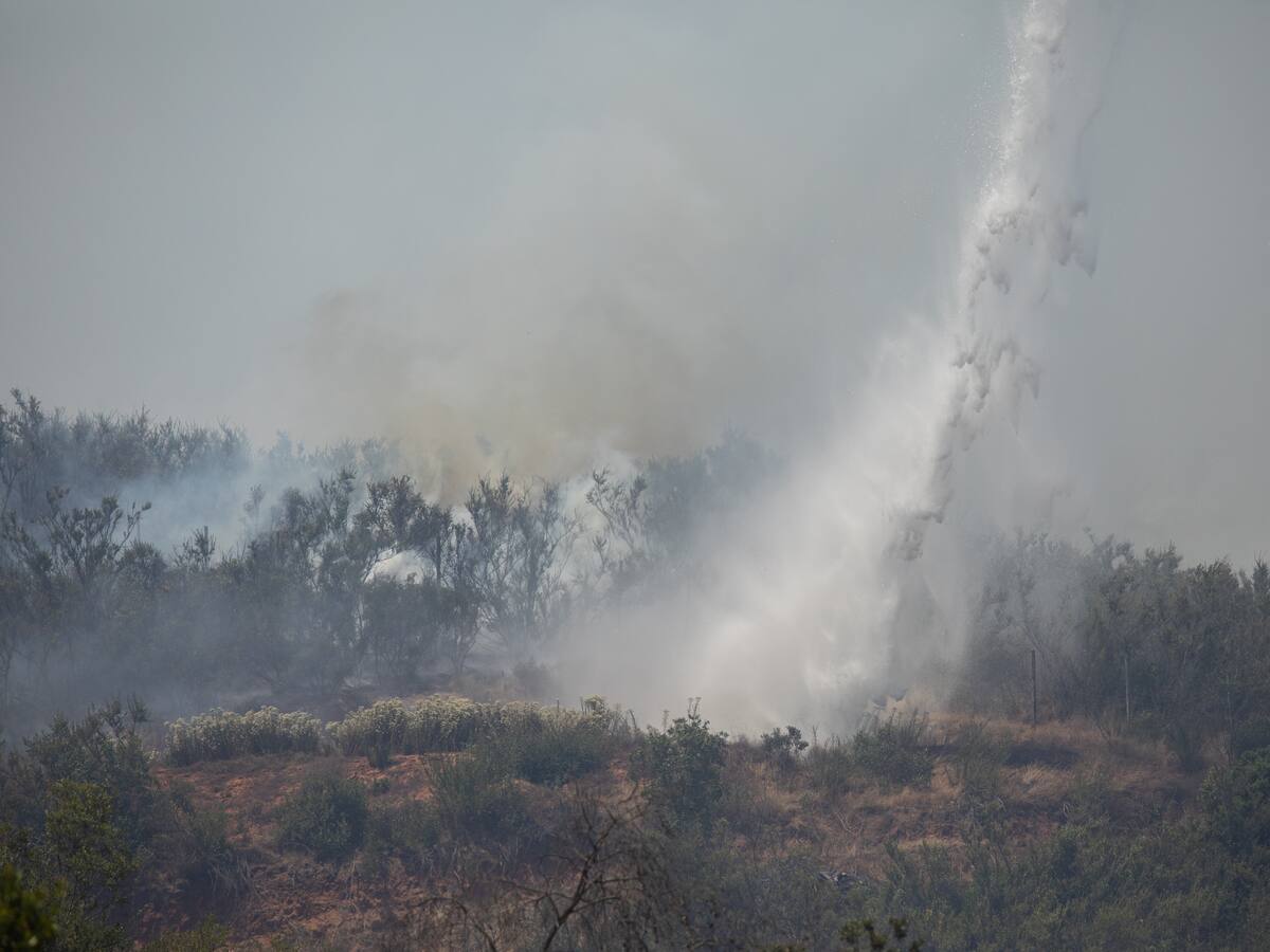 Incendios forestales: ¿Cómo se está preparando CONAF para combatirlos?