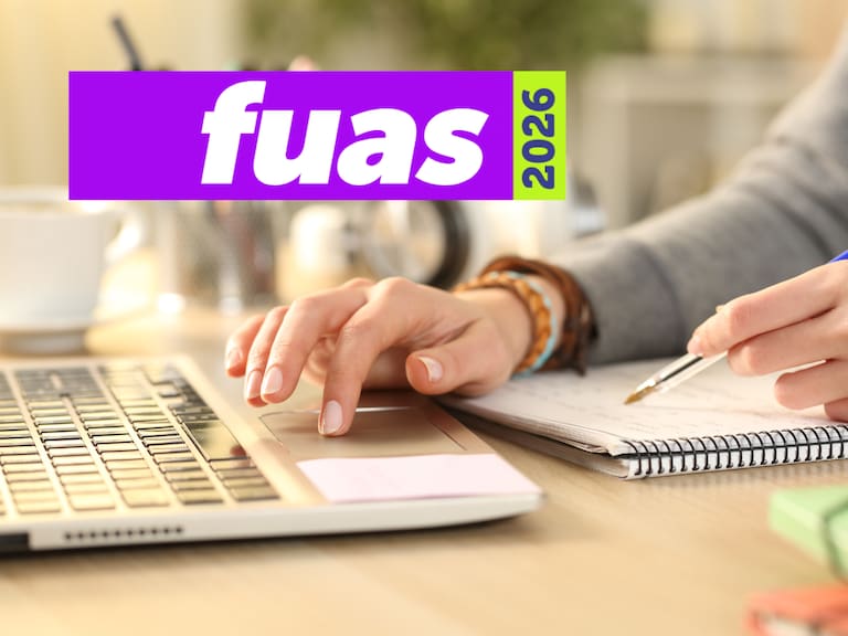 Resultados del FUAS: cómo consultar con RUT quiénes podrían acceder a gratuidad, becas y créditos en 2026