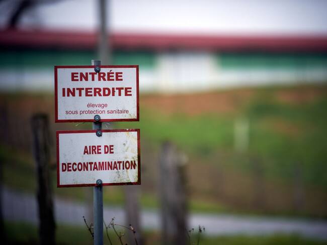 Granja cerrada por un brote de gripe aviar en Francia