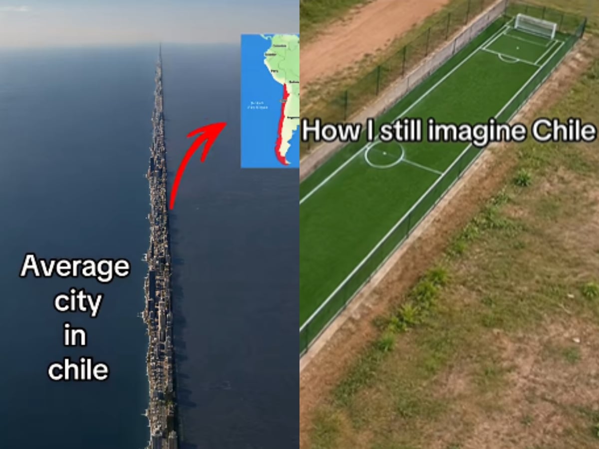 “Cómo sigo imaginando Chile”: el origen del meme que convirtió la forma del país en tendencia mundial