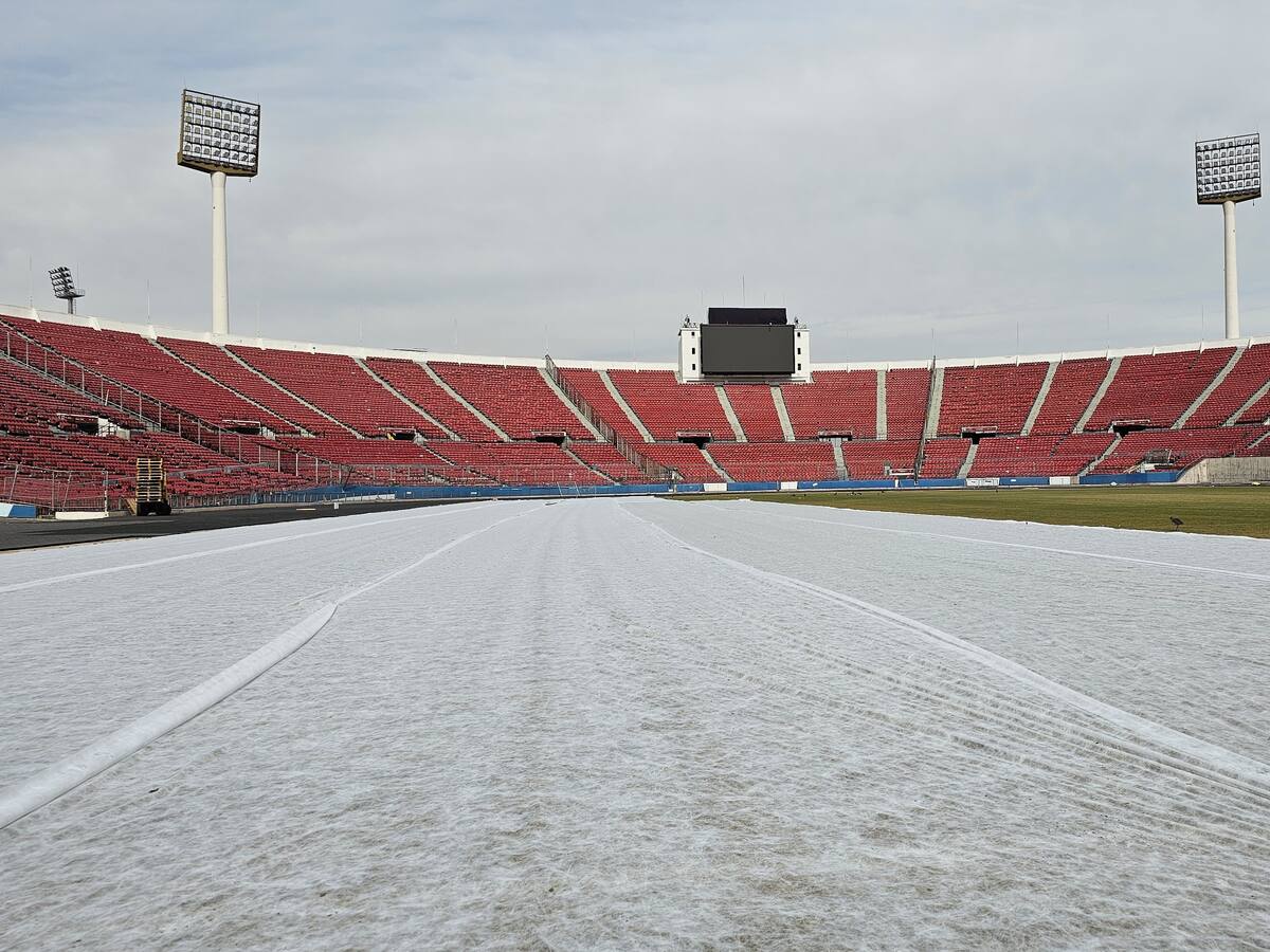 Los detalles de la recuperación del césped del Estadio Nacional: llegaría en condiciones para el Clásico Universitario