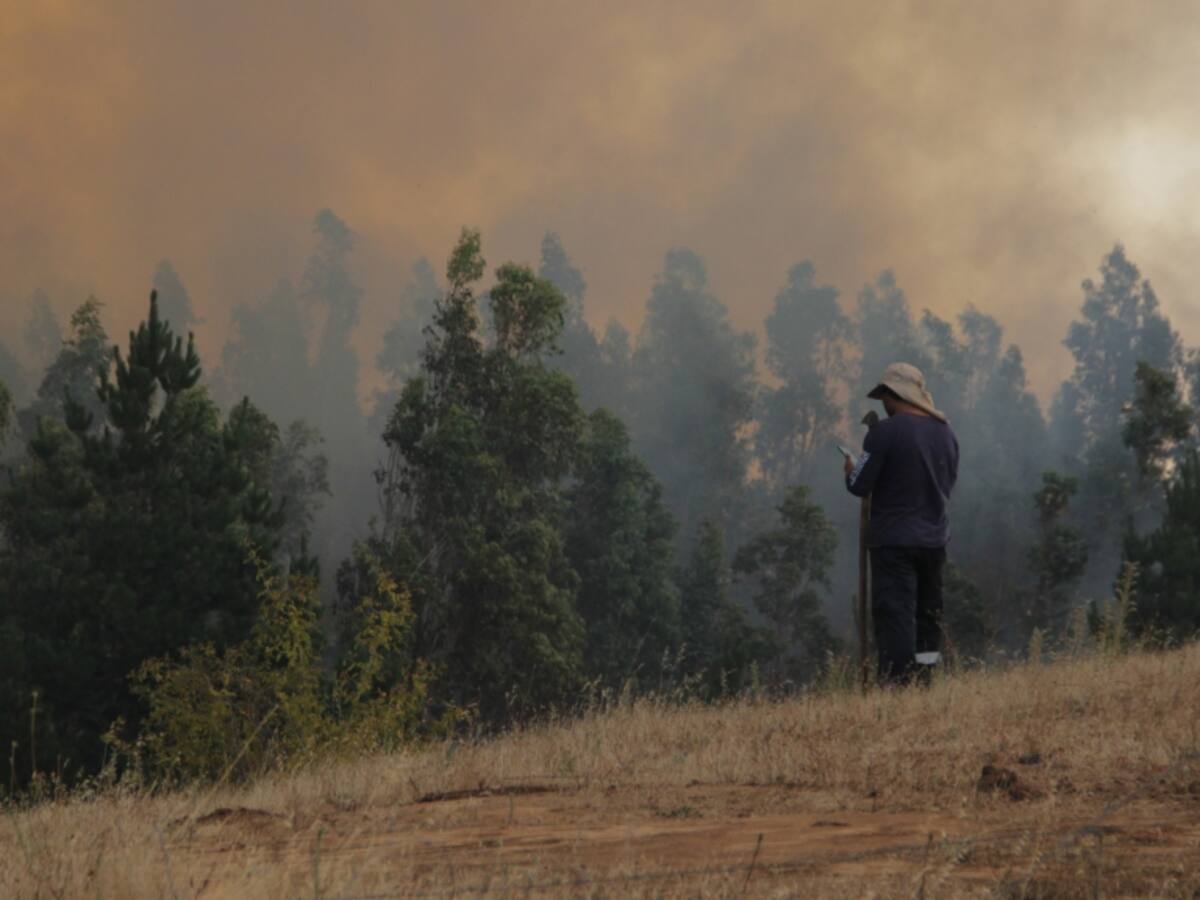 Incendios forestales: Unión Europea envía a más de 250 profesionales en ayuda a Chile