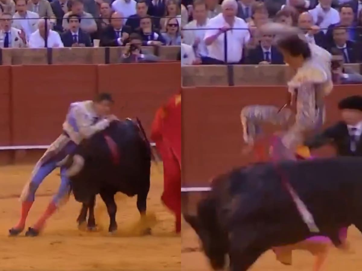 España registra nuevo ataque a torero: hombre queda en “muy grave” tras brutal embestida