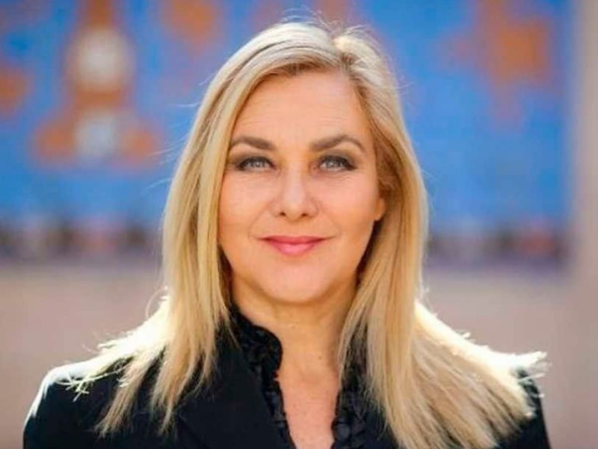 “Es prácticamente un Golpe de Estado”: El feroz ataque de Pamela Jiles a la propuesta de seguridad del Gobierno