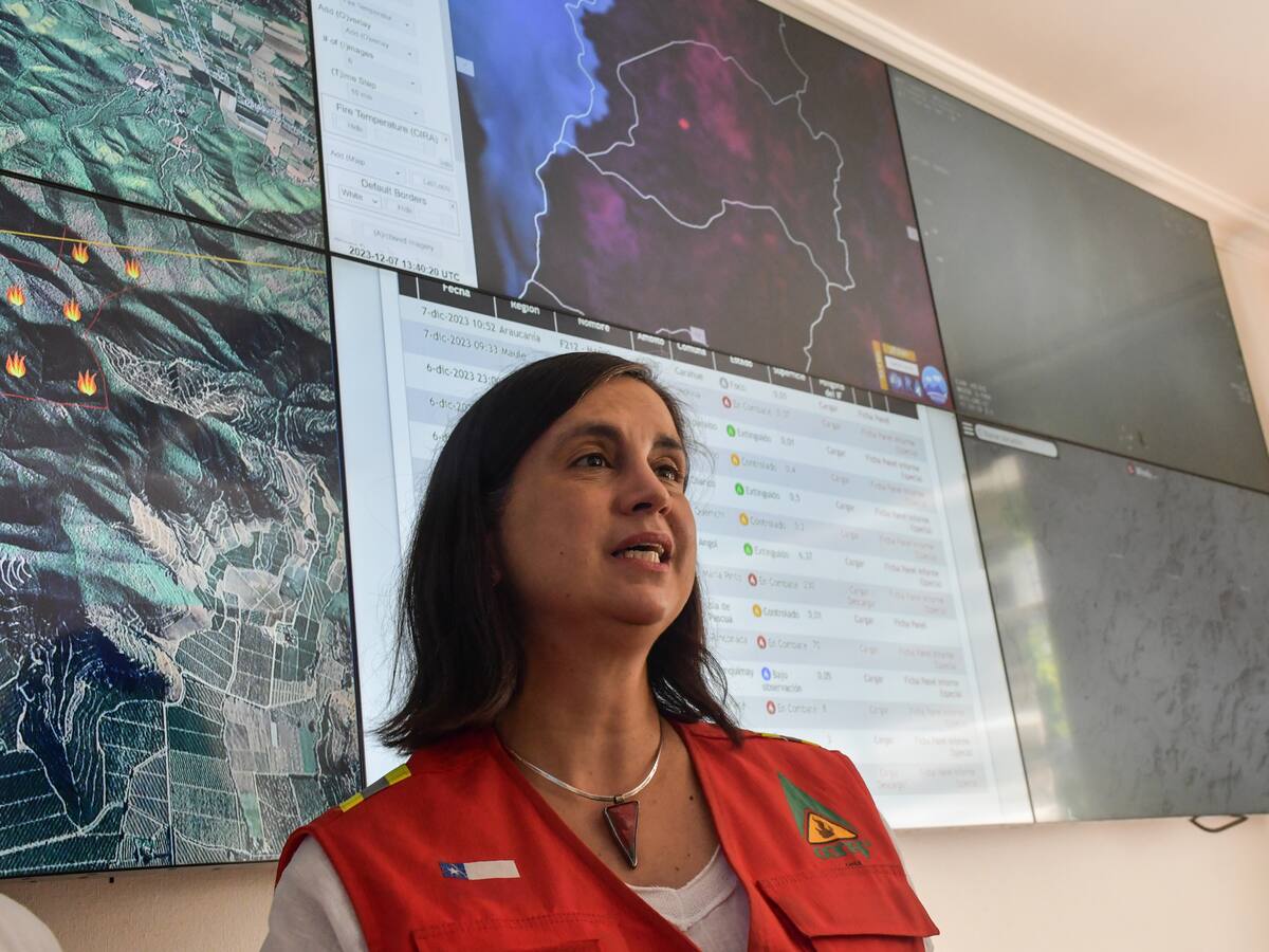 Subsecretaria de Agricultura y el monitoreo de incendios forestales: “La zona de principal preocupación está entre el Maule y la Araucanía”