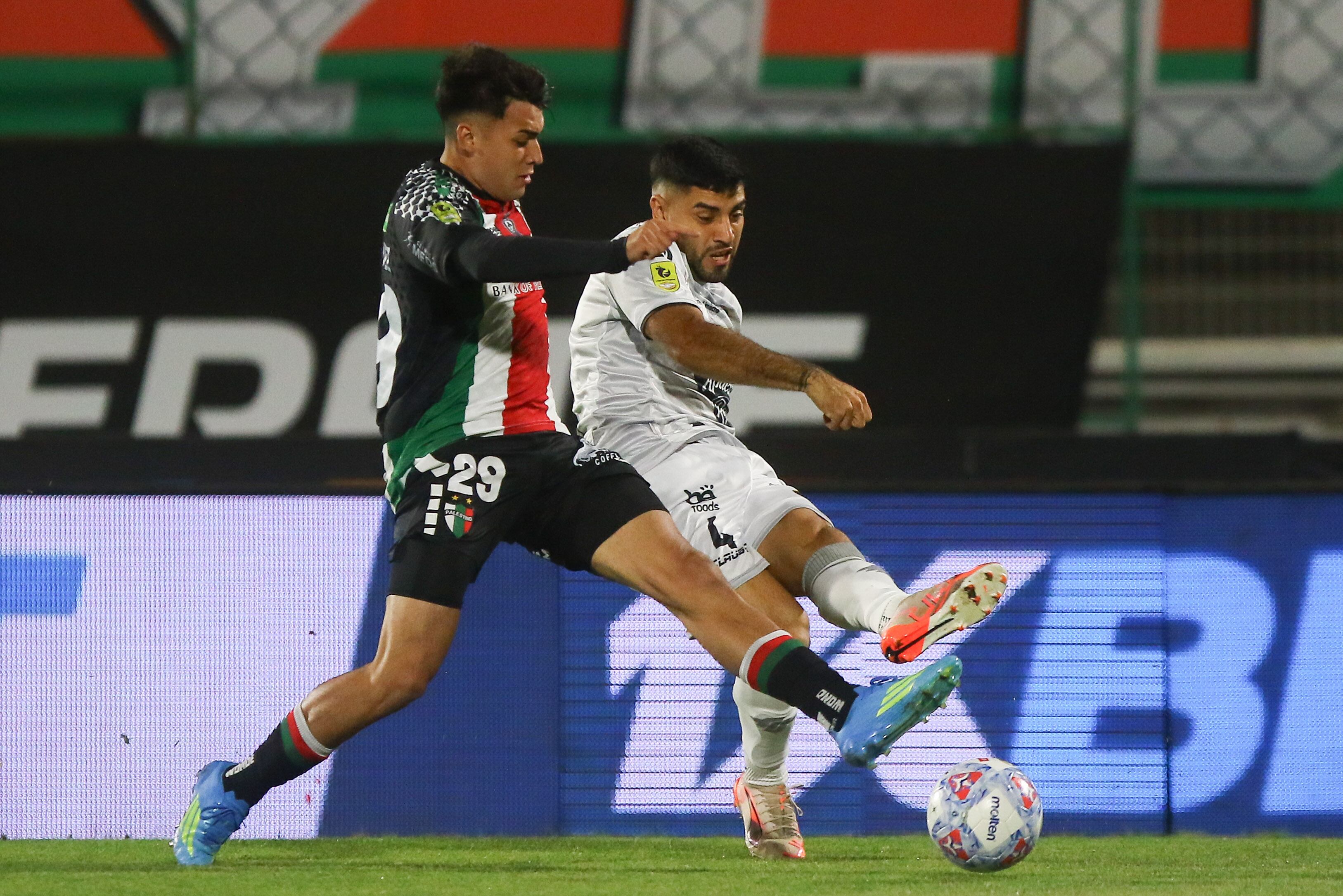 Palestino y Deportes Limache cierran la jornada dominical de la fecha 24 por la Liga de Primera