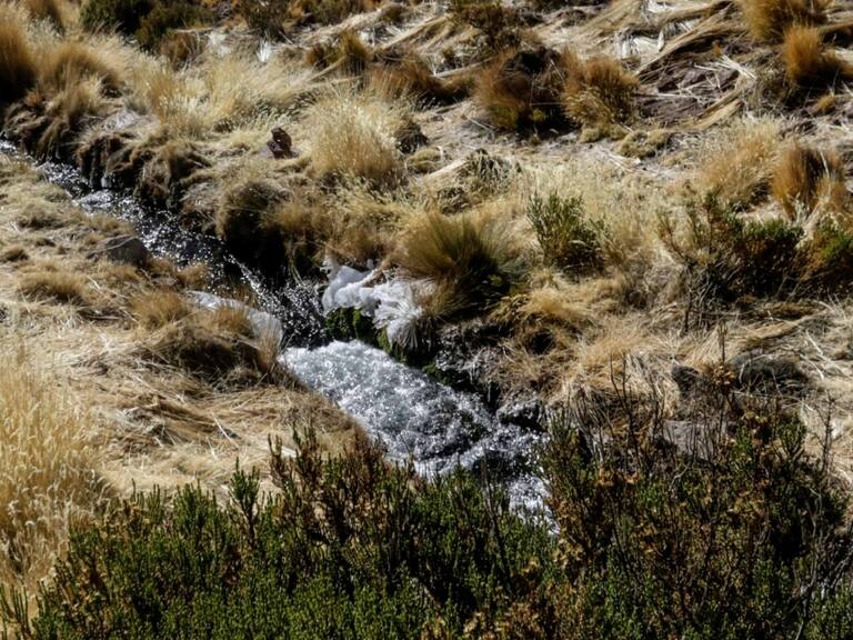 Heraldo Muñoz por fallo del río Silala: «Lo fundamental para Chile era el reconocimiento de que el curso de agua es internacional»