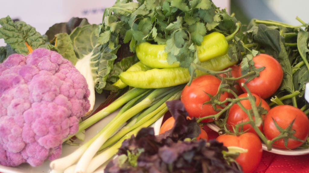Alimentos, canasta, 18 de septiembre, fiestas patrias, canasta dieciochera, 1024x576 jpg ok
