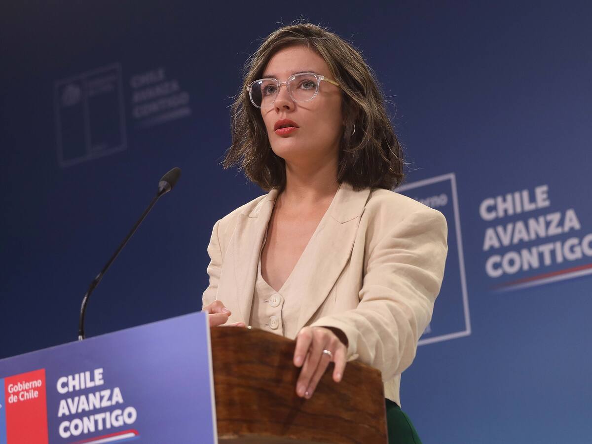 Ministra Camila Vallejo e instalación de paneles argentinos en suelo chileno: “Esperamos que el retiro se materialice durante esta semana”