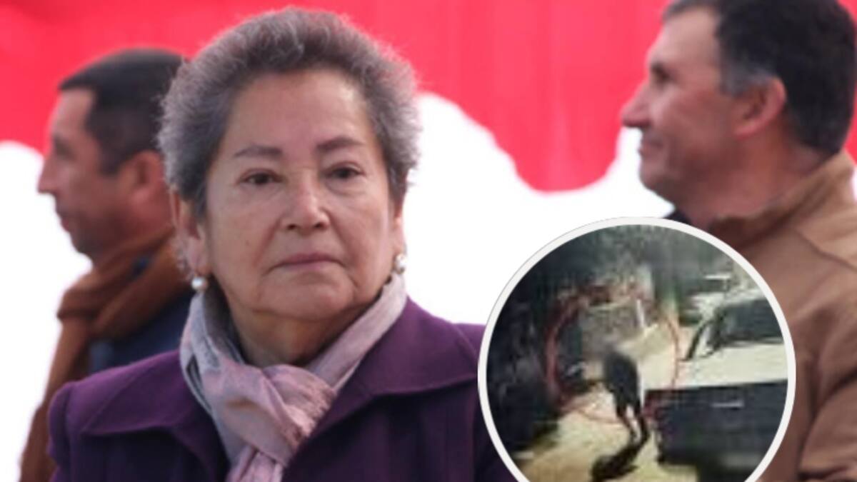 Revelan registro que contradice coartada de testigo clave en la desaparición de la concejala de Villa Alegre