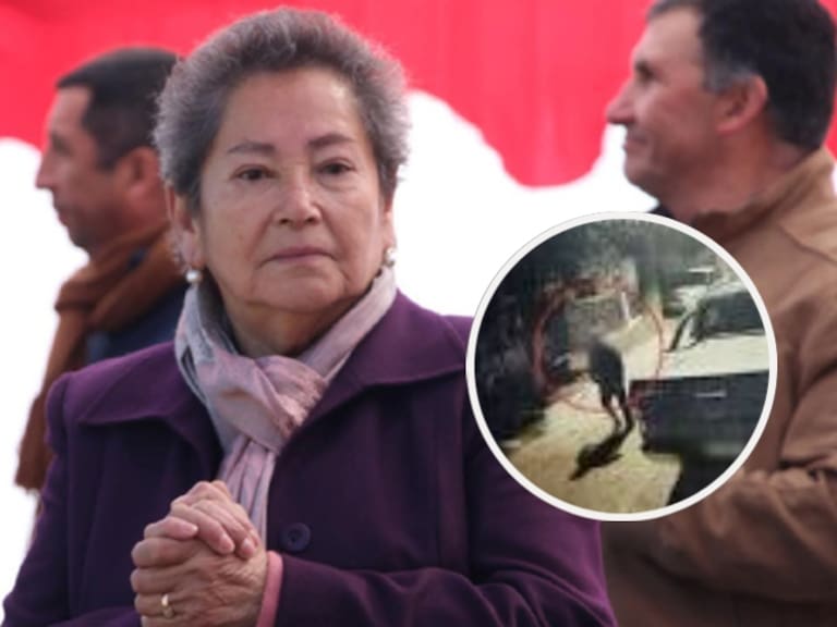 Revelan registro que contradice coartada de testigo clave en la desaparición de la concejala de Villa Alegre