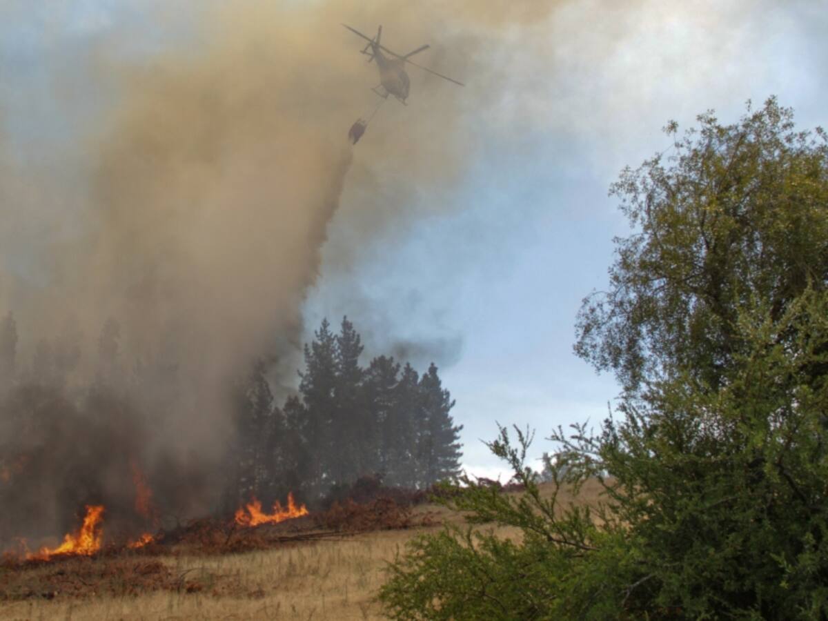 Incendios forestales: 67 se mantienen en combate y más de 430 mil hectáreas han sido consumidas