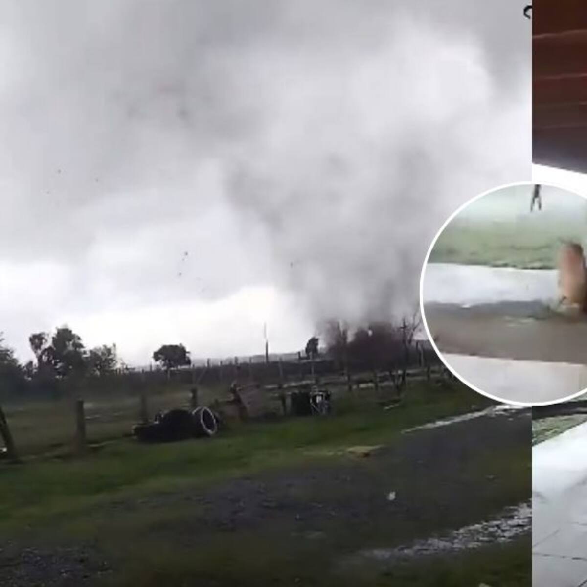 Perrita de 16 años sobrevive tras ser arrastrada cerca de 200 metros por tornado en Chillán Viejo