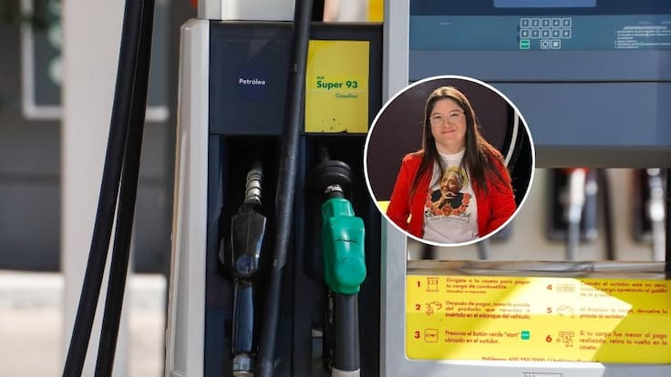 “Metáfora en el ojo”: Valeria Cárcamo critica al Gobierno por el precio de las bencinas tras caída del petróleo