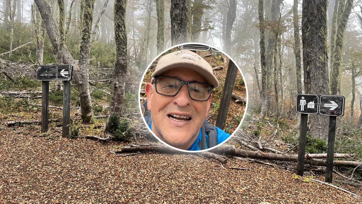 Operativo de emergencia en La Araucanía: Buscan a hombre de 66 años extraviado en sendero Laguna Azul